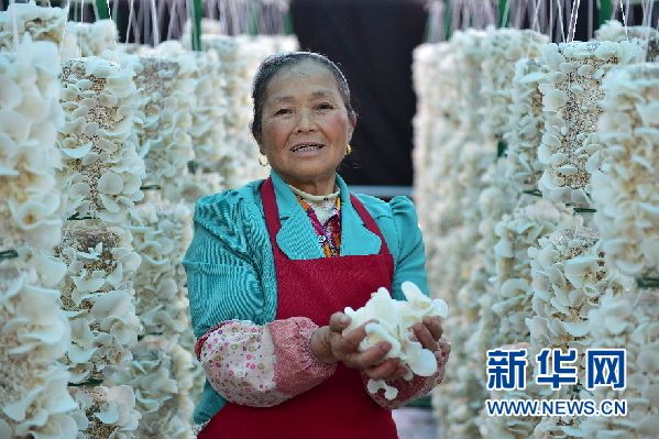 贵州铜仁:外引内培打造优势特色农业产业集群 贵州铜仁:外引内培打造优势特色农业产业集群