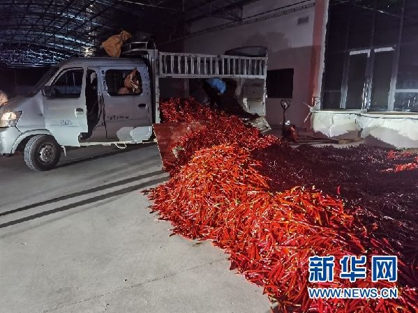 贵州铜仁:外引内培打造优势特色农业产业集群 贵州铜仁:外引内培打造优势特色农业产业集群