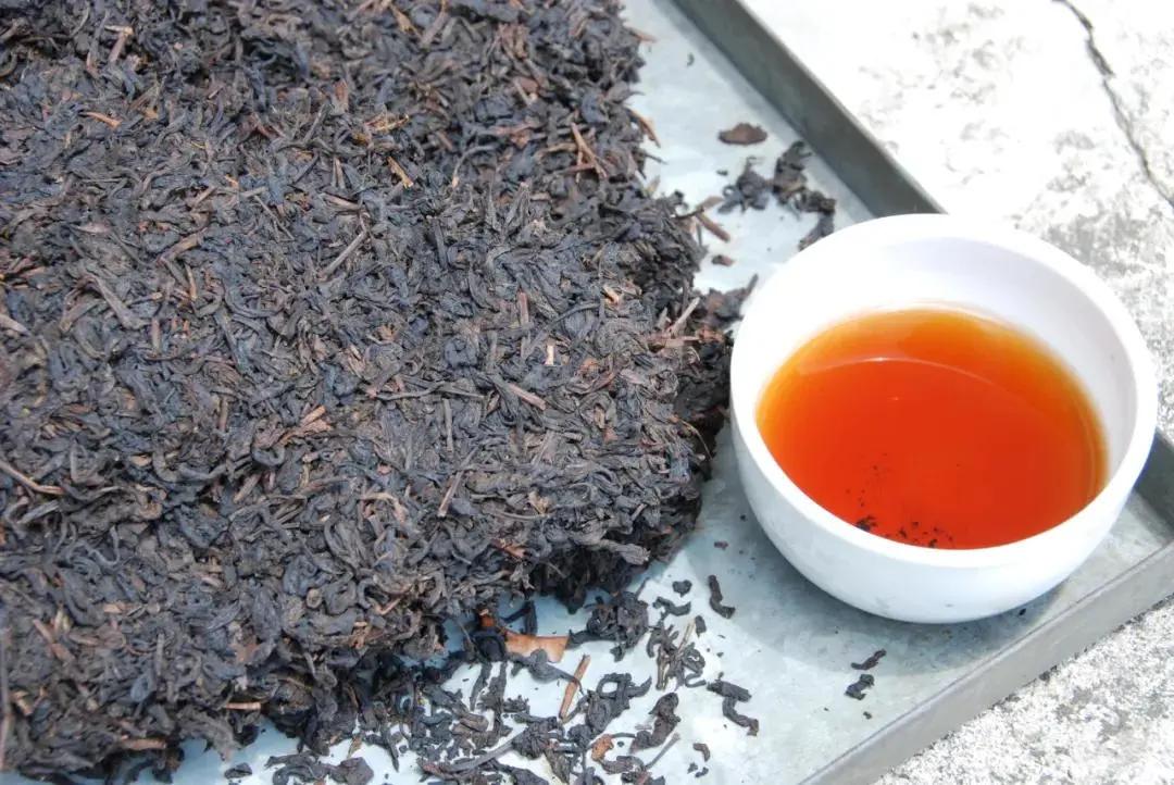 茶船古道上的六堡茶