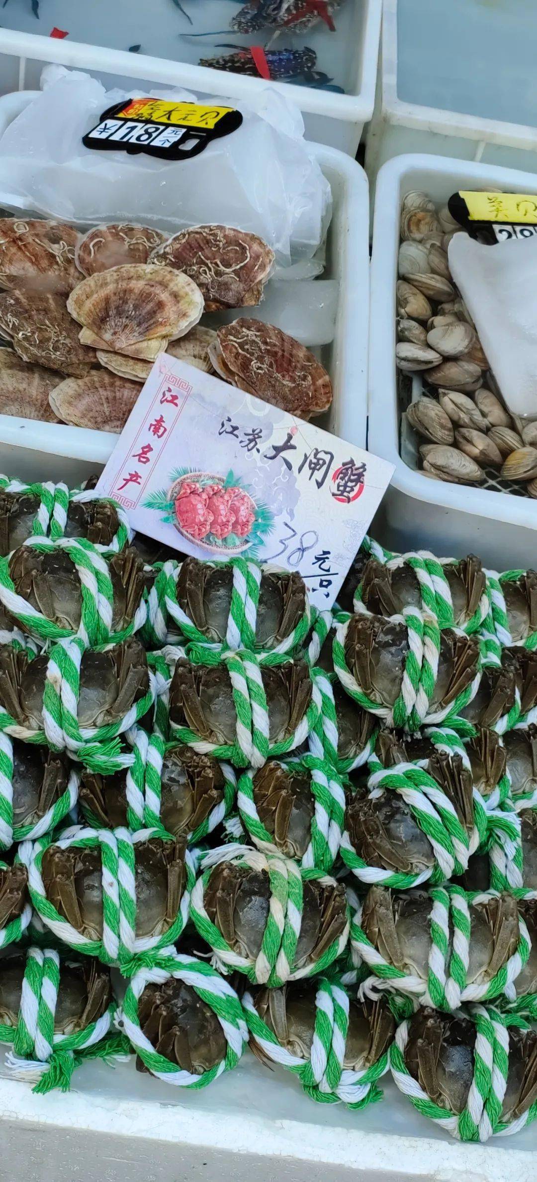 平靓正海鲜大量上市!广州黄沙水产市场各类海鲜价格平稳货量充足