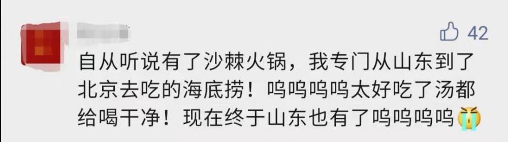 海底捞新品沙棘锅底爆红,种树计划累计数量已超15万棵