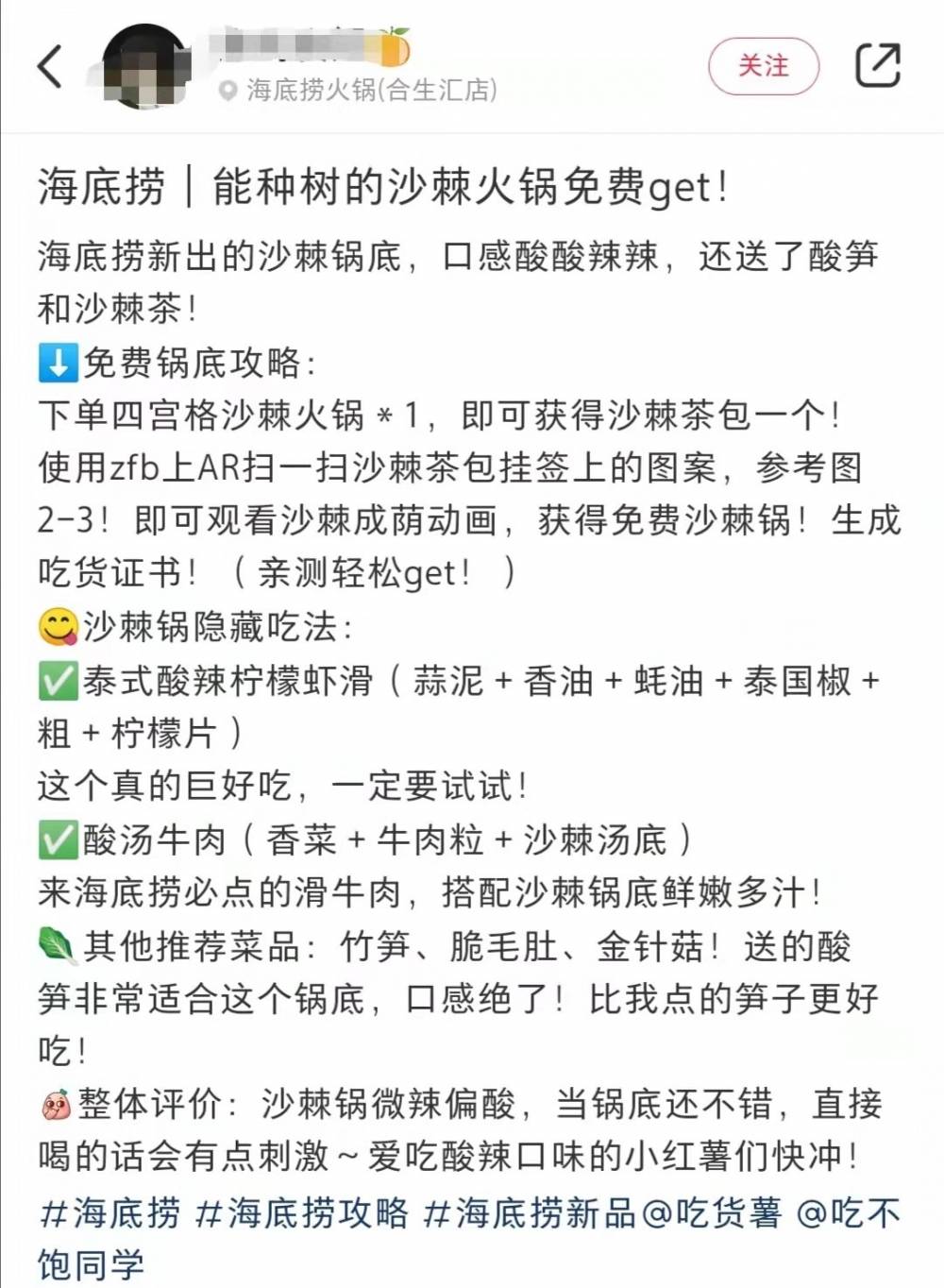 海底捞新品沙棘锅底爆红,种树计划累计数量已超15万棵