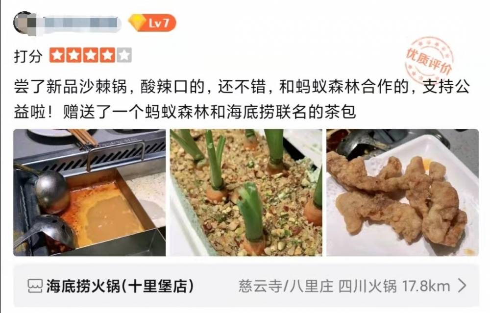 海底捞新品沙棘锅底爆红,种树计划累计数量已超15万棵