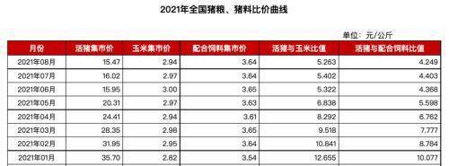 猪肉价格“跌跌不休”!龙头企业逆周期扩张