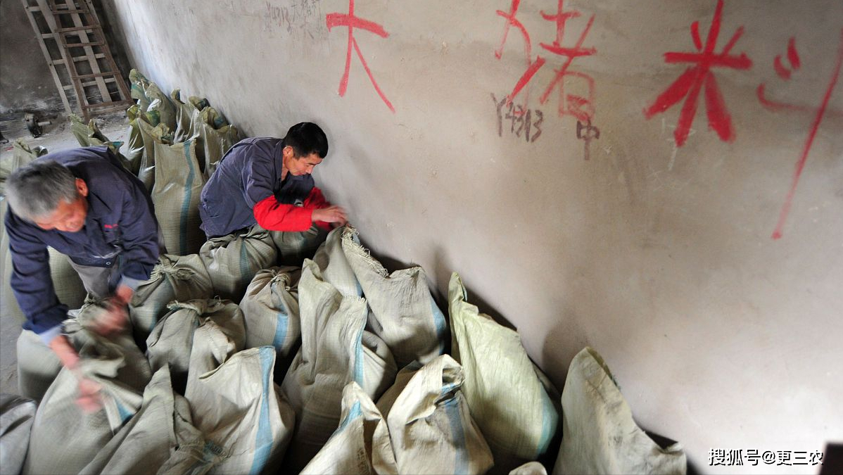 生猪价格窄幅下挫,猪肉降至“白菜价”!
