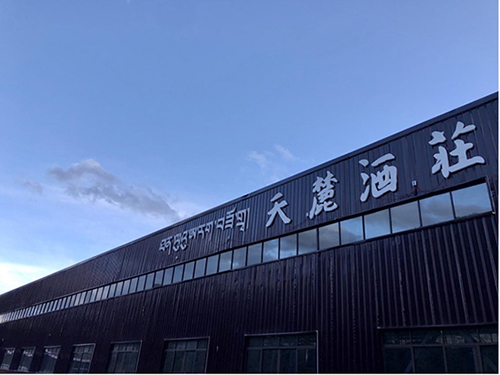 天九共享携手成功红：在世界屋脊酿出幸福酒