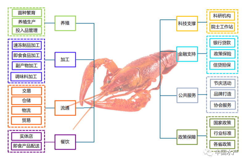 重磅!《小龙虾全产业链图谱(2021年版)》全文公布