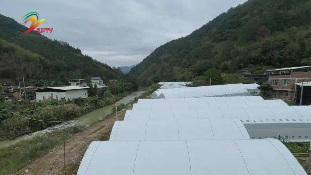 漳平市象湖镇：扶贫工厂食用菌温室大棚完工