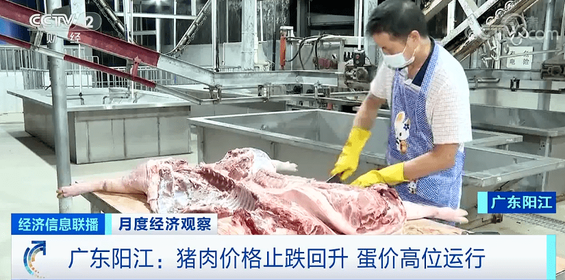 蔬菜8连降!猪肉大反弹!