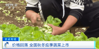 蔬菜8连降!猪肉大反弹!
