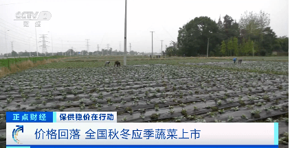 蔬菜8连降!猪肉大反弹!
