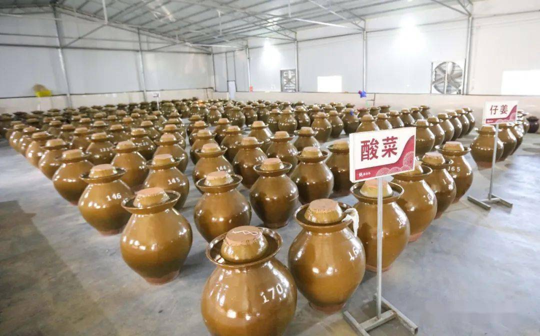 柳城这家泡菜企业,成为了乡村振兴样板!