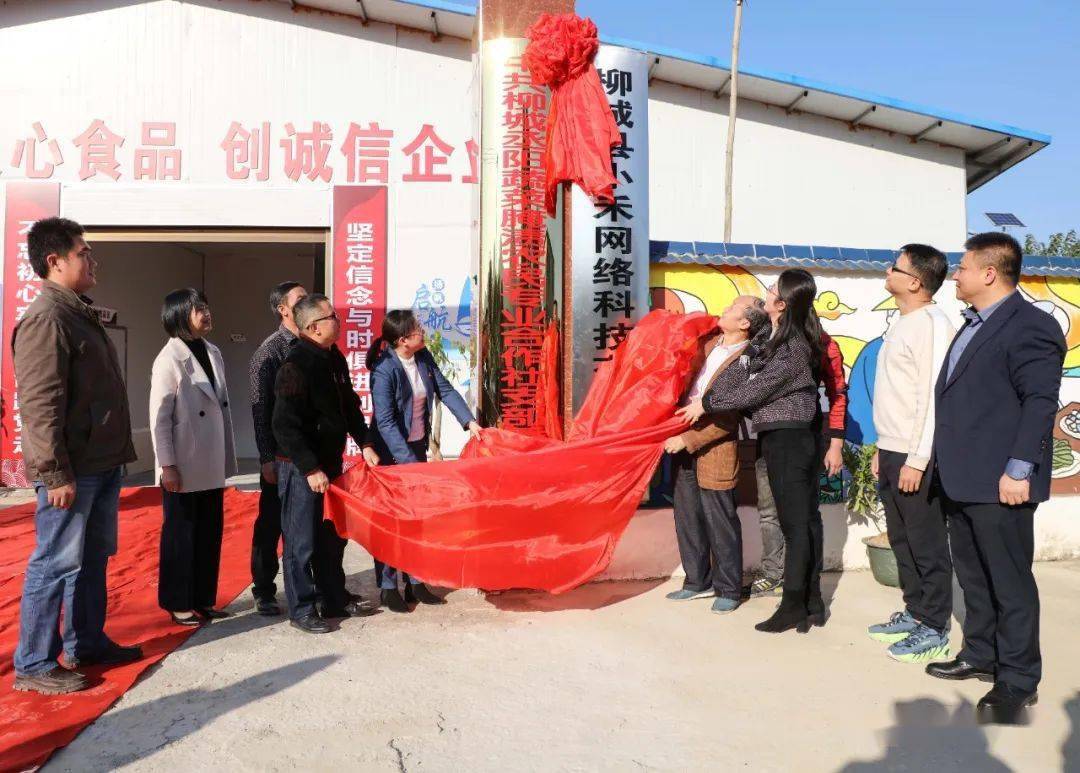 柳城这家泡菜企业,成为了乡村振兴样板!