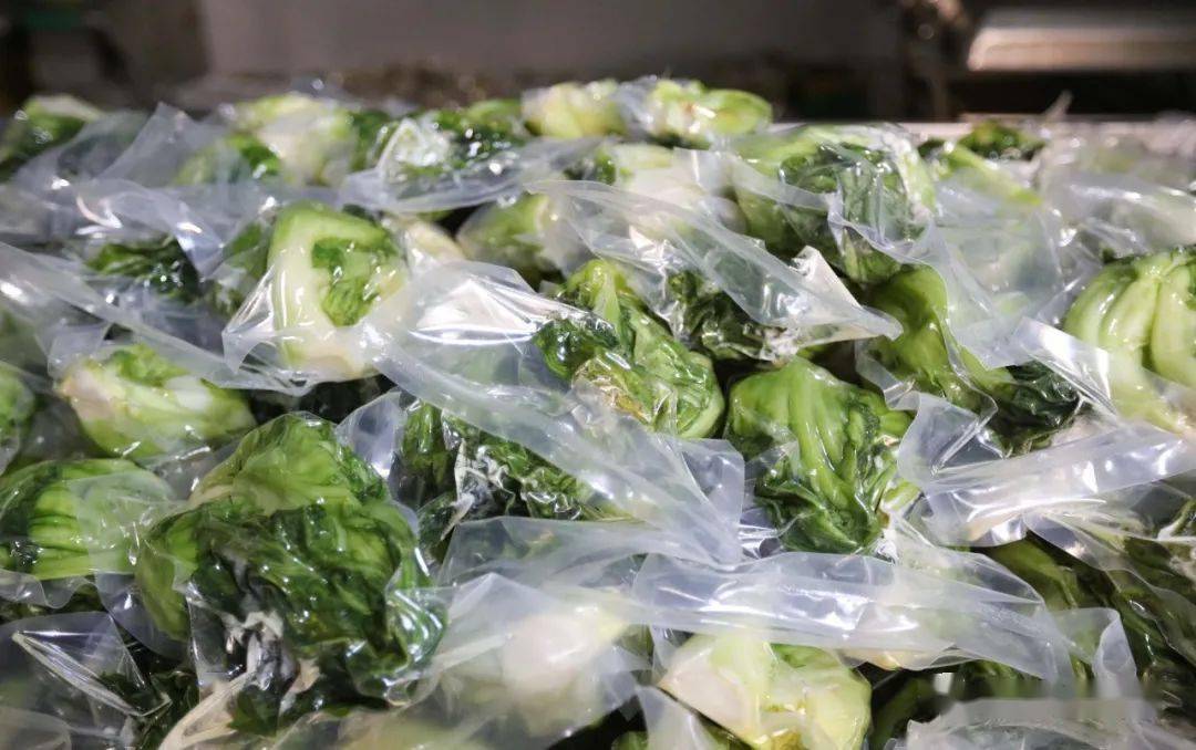 柳城这家泡菜企业,成为了乡村振兴样板!