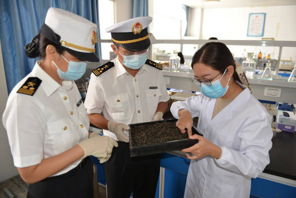 云南茶叶出口破4000吨,以普洱茶和绿茶为主