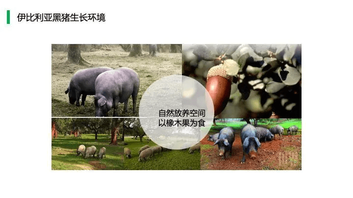 中国猪肉市场消费结构及高端猪肉市场发展趋势!