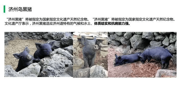 中国猪肉市场消费结构及高端猪肉市场发展趋势!