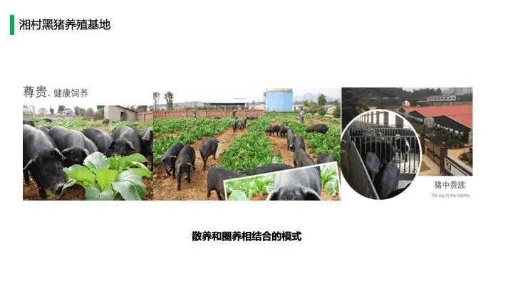 中国猪肉市场消费结构及高端猪肉市场发展趋势!
