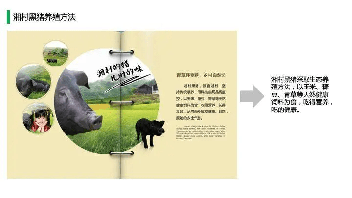 中国猪肉市场消费结构及高端猪肉市场发展趋势!