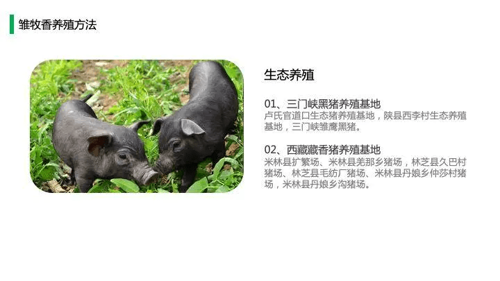 中国猪肉市场消费结构及高端猪肉市场发展趋势!