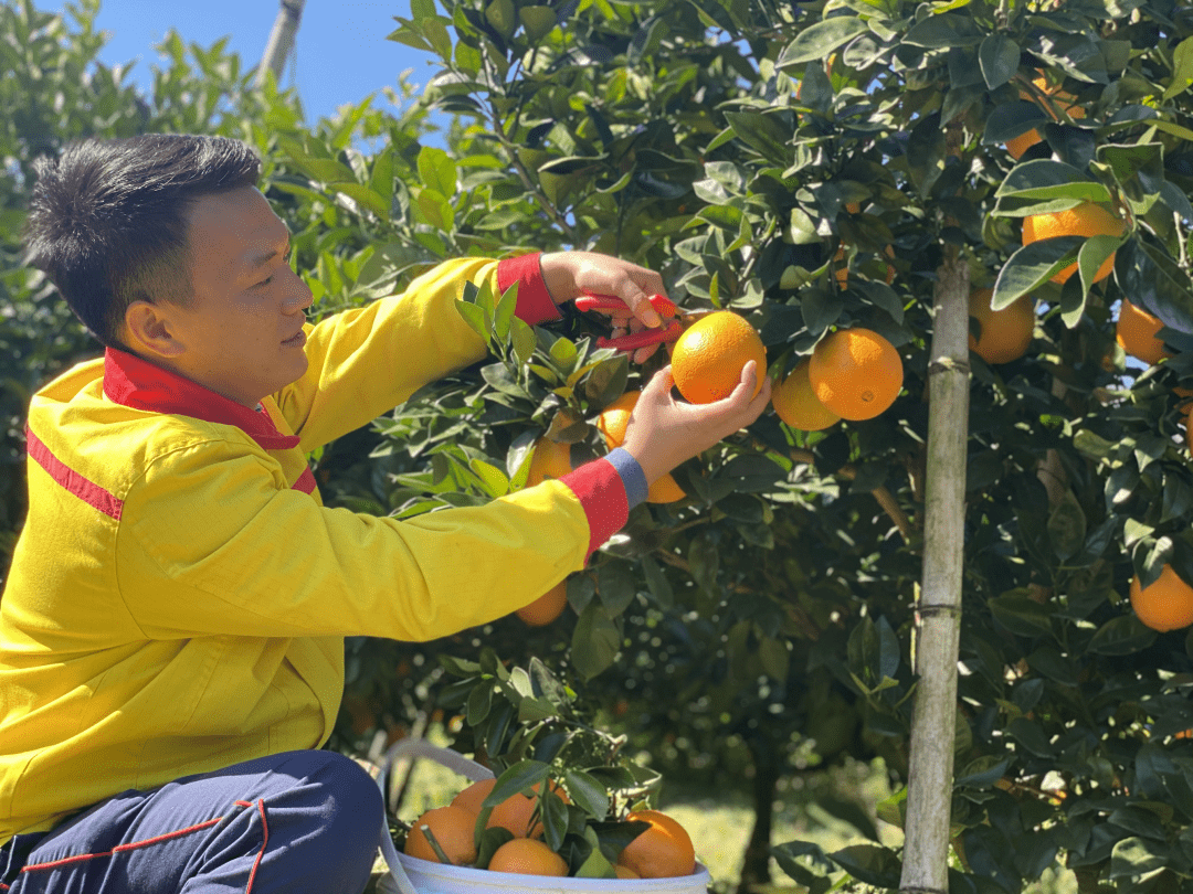助力乡村振兴！昆仑好客线上线下发力“双节”市场