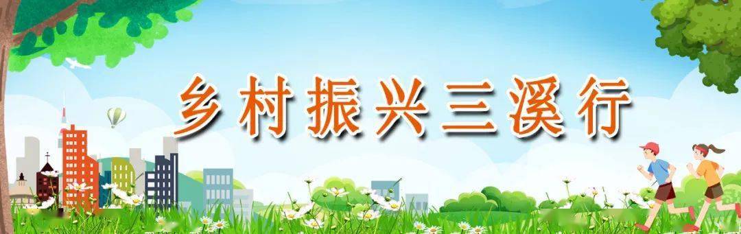 三溪村:齐心共创 绘就乡村新图景