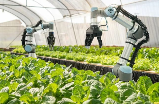 农业产业周报|北大荒、正大、盒马、新希望、牧原股份最新动态
