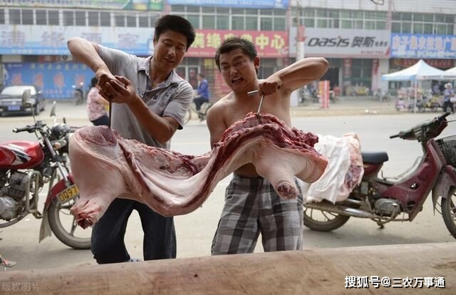 生猪屠宰新规正式实施,私自销售猪肉将重罚