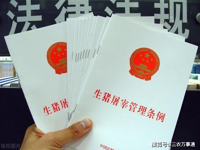 生猪屠宰新规正式实施,私自销售猪肉将重罚