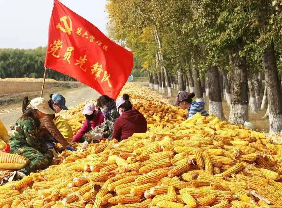 北大荒集团粮食增产30亿斤探秘