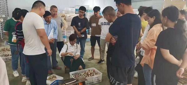 贵州:食用菌产业助力乡村振兴