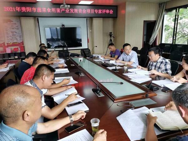 贵州:食用菌产业助力乡村振兴