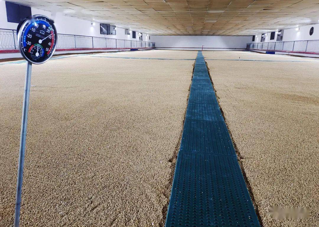 涉及新洲!武汉市粮食流通发展“十四五”规划出炉