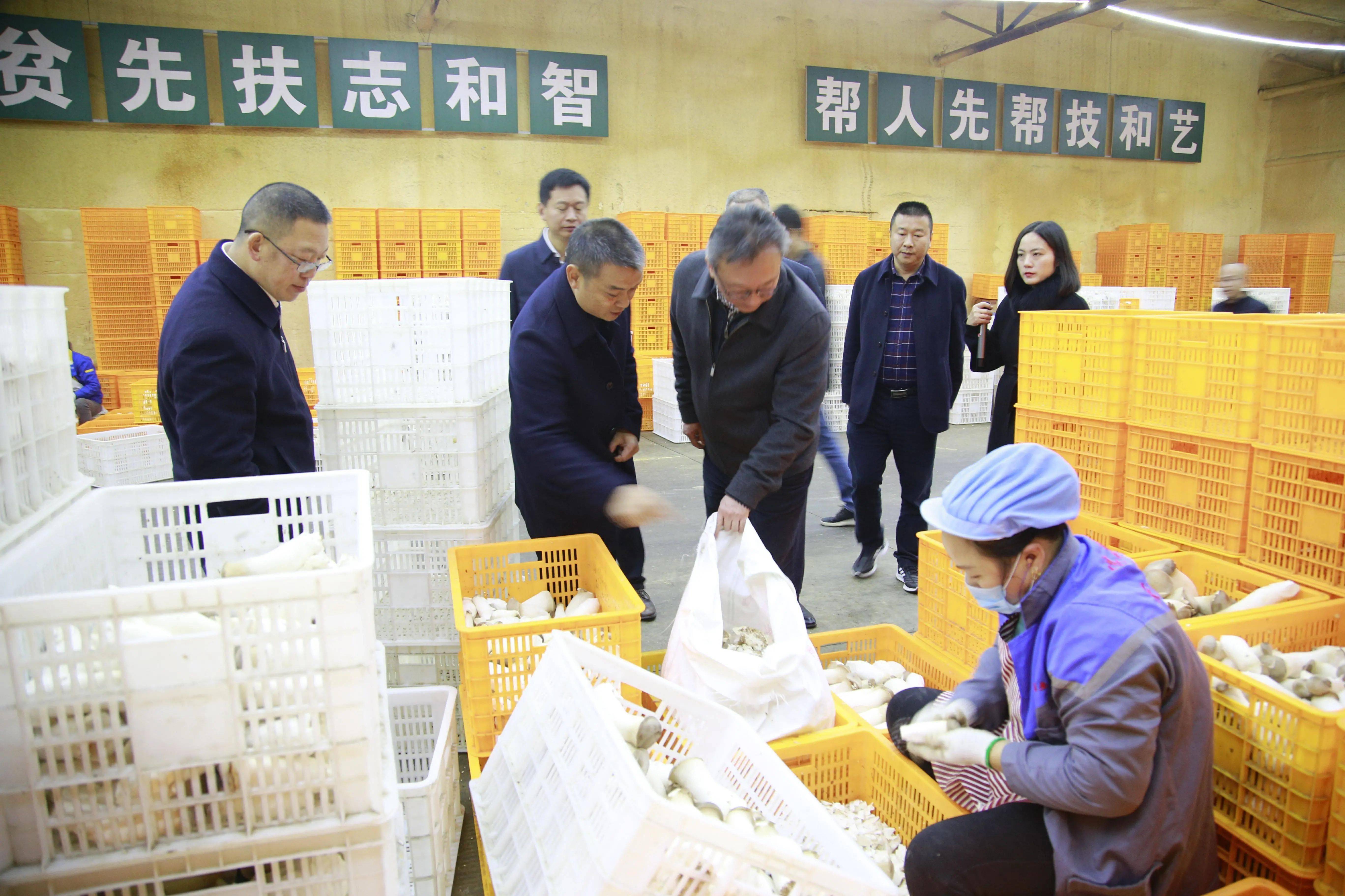 我县迎接食用菌现代农业园区省五星级园区创建考评