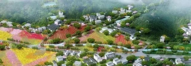 2021年农村统一规划住房?自建房怎么办?全部禁止吗?答案已明确