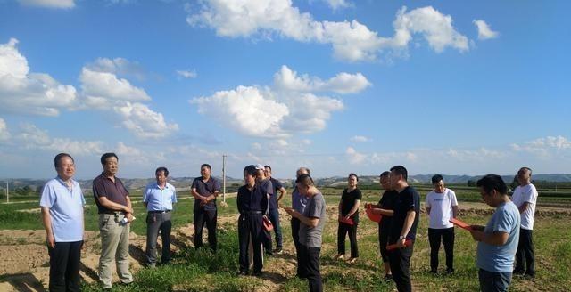 2021年农村统一规划住房?自建房怎么办?全部禁止吗?答案已明确