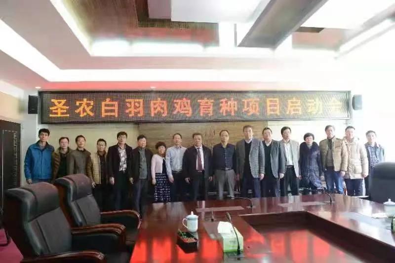 攻克卡脖子技术 摆脱种源进口依赖 ——圣农白羽肉鸡新品种通过农业…