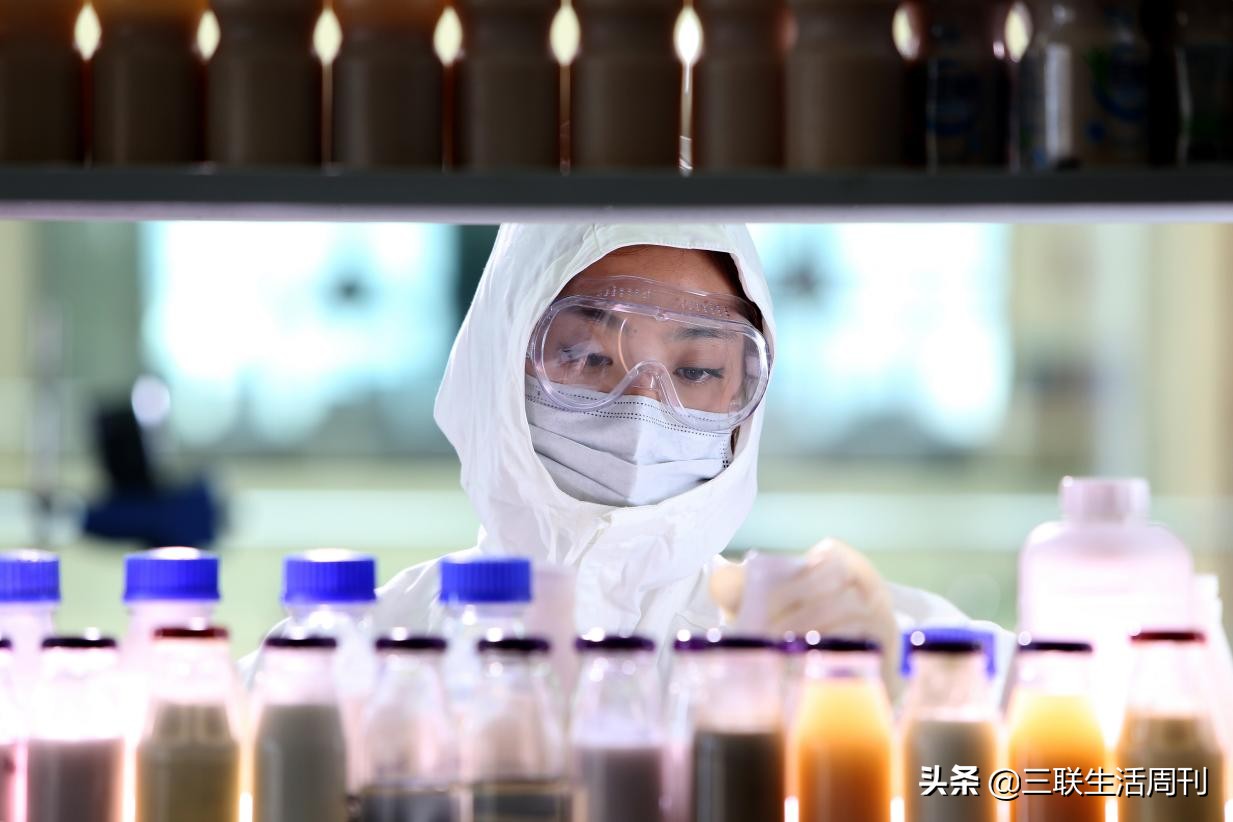 追求健康的年轻人,正在追捧零蔗糖酸奶