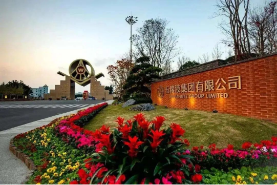 37.3%,中国白酒头部力量的密码