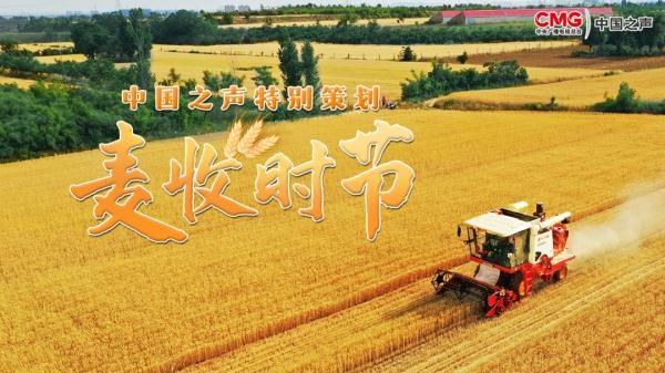 夏收会战，忙碌的不只是农机手，还有农机专家