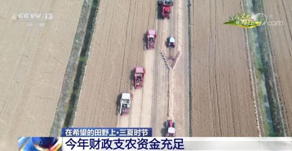 (sys)财政支农政策保障夏粮丰产丰收
