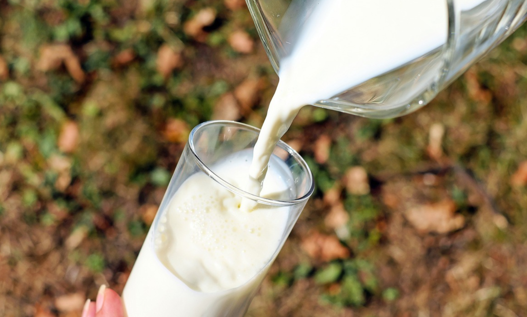 超十家乳企冲击IPO,谁想取代伊利蒙牛?