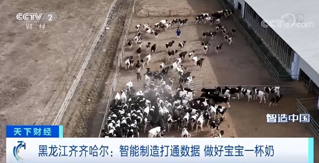 《智造中国》探访乳业龙头,深度解码中国飞鹤“智造”内功