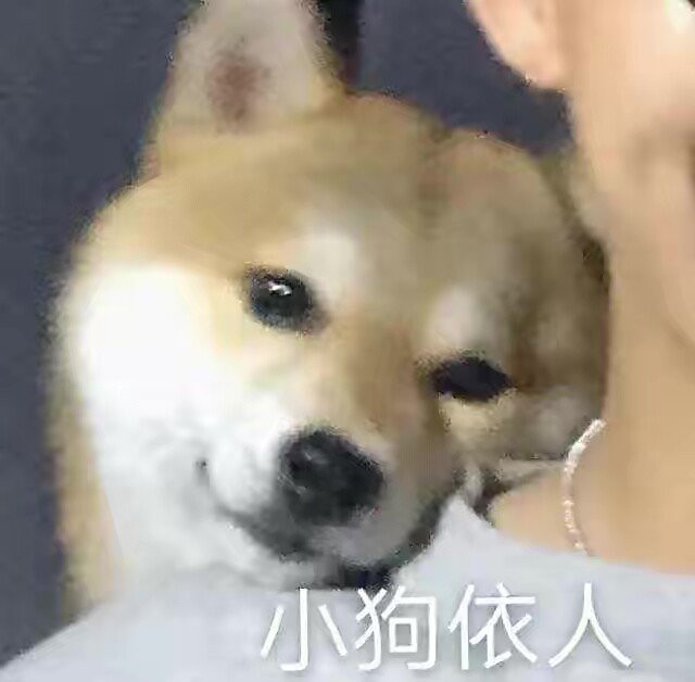 旺旺三公子蔡旺庭,有点可爱因子在身上