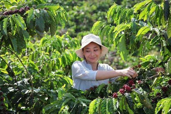 雀巢发布雀巢咖啡2030计划