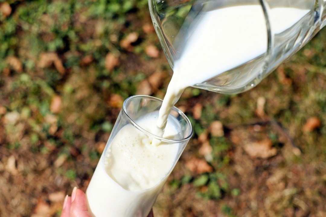 麦趣尔“毒牛奶”风波未消,天润乳业能否为新疆奶正名?