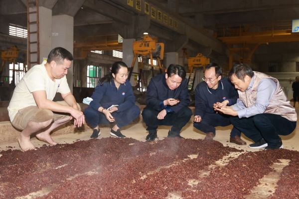 茅台集团董事长丁雄军调研茅台酒造沙生产