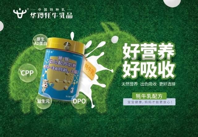 牦牛奶粉看华羚乳品！天然牧场是脱颖而出的资本