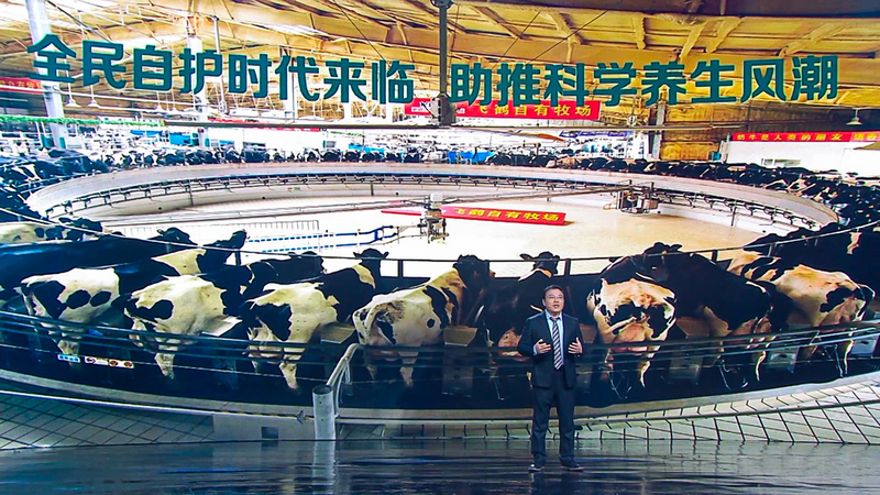 “养生喝爱本，提升自护力”——成人奶粉复兴之路