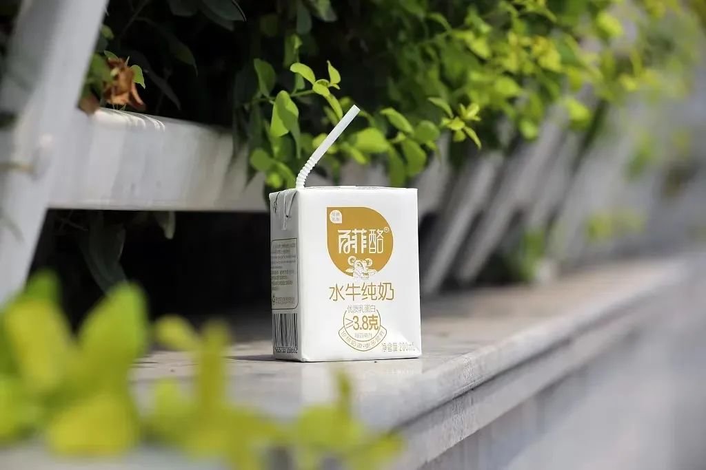 水牛奶火到咖啡店,但会像螺蛳粉一样走向全国吗?